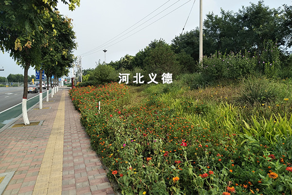 太平河西延绿化施工二标