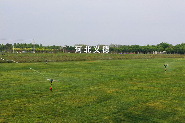 药用植物绿化及花海项目设计施工